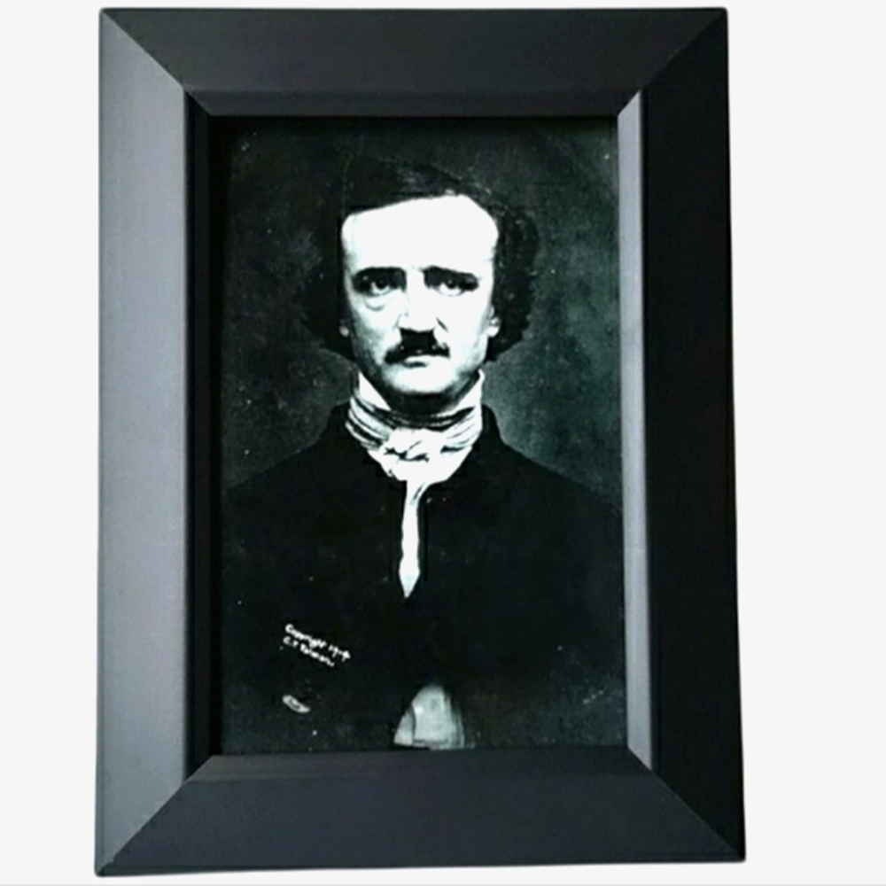 Edgar Allan Poe The Raven Vintage Punk Goth Books Writing Stories Spooky Ghosty…
